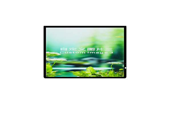 CG+LCM Touch Panel