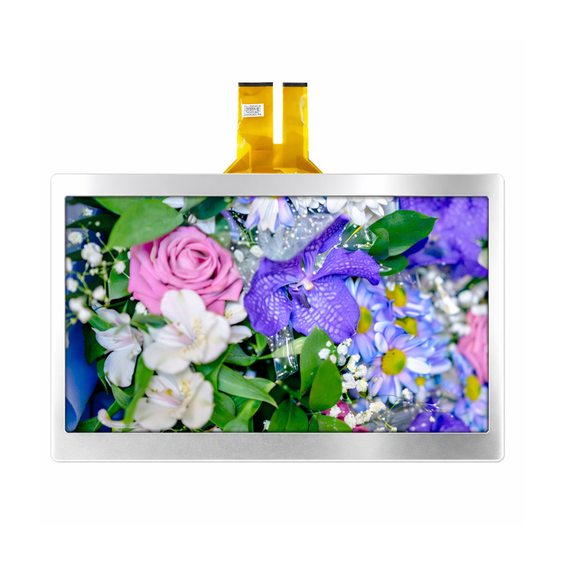 Medical Surgical Equipment Touch Panel