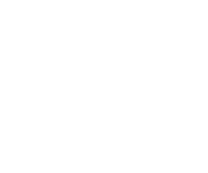 Customized Process